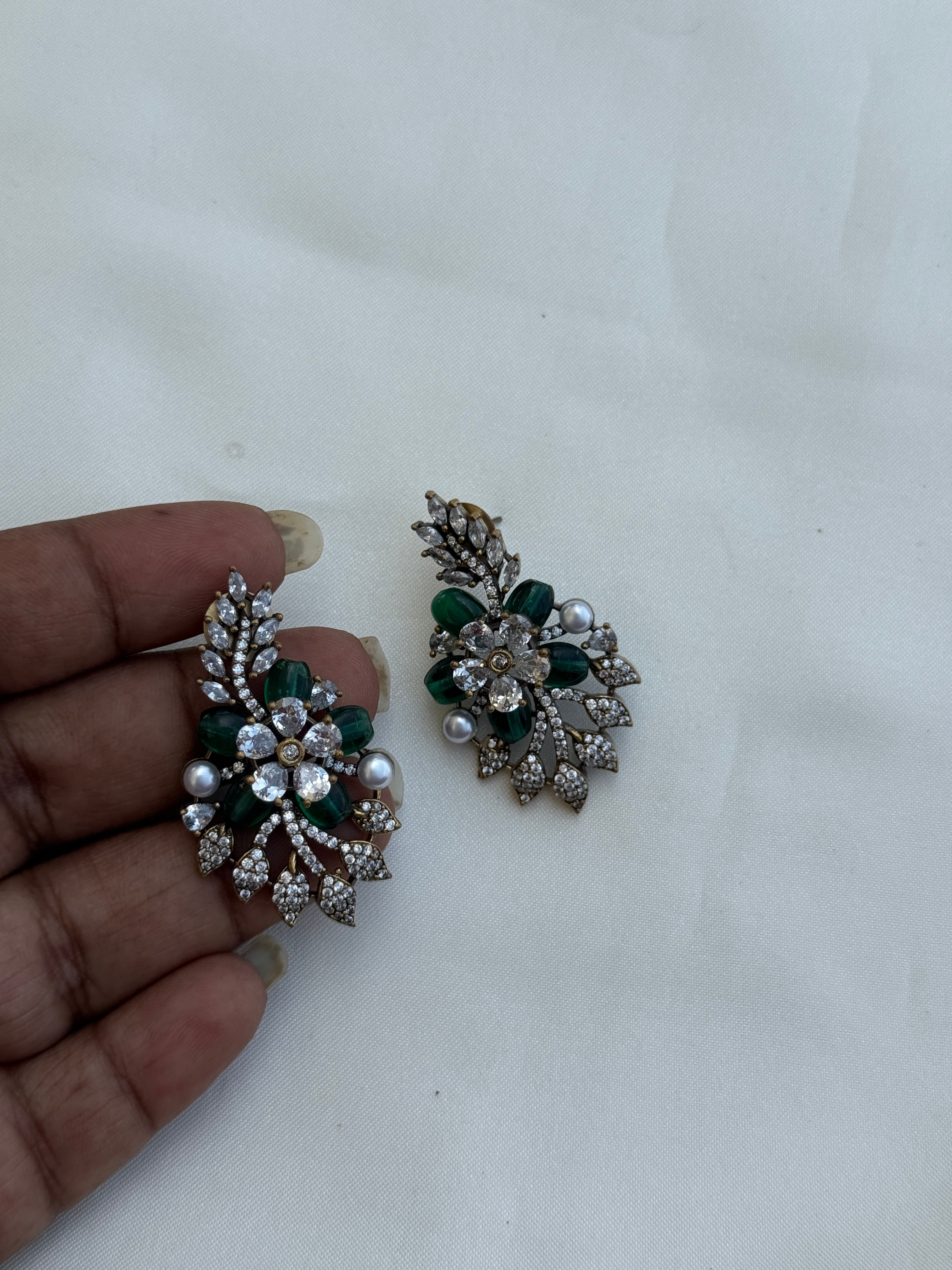 Er146 western earrings