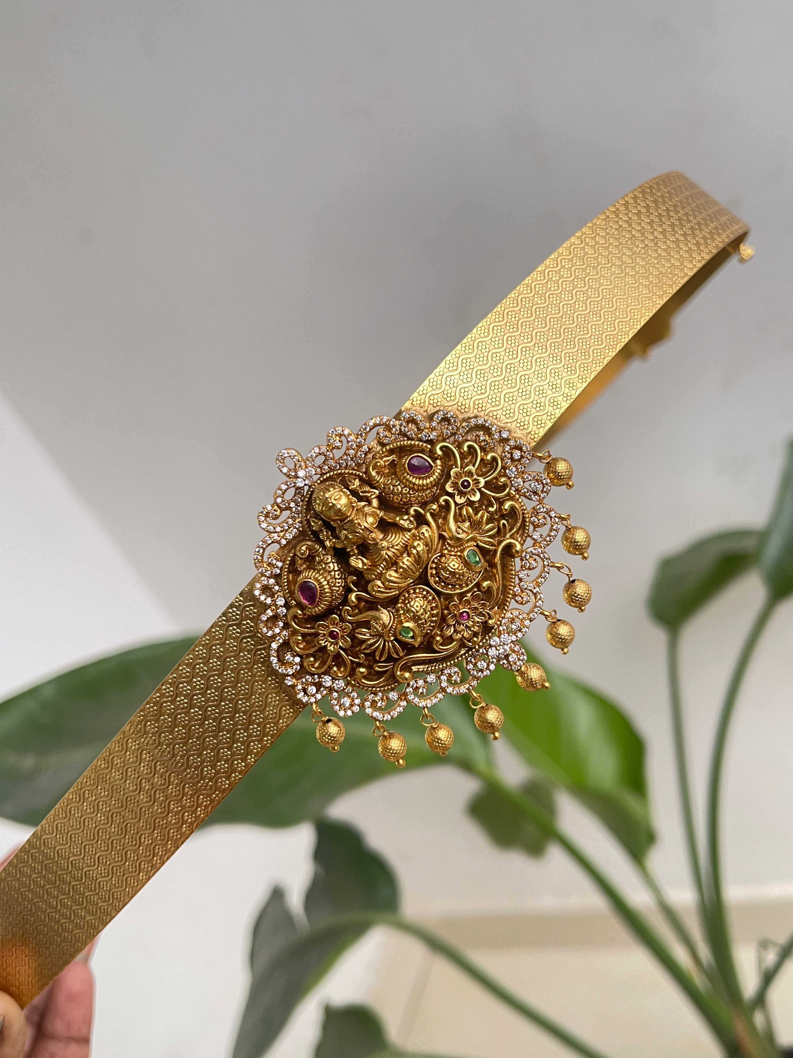 Hb532 Lakshmi Devi adults hipbelt