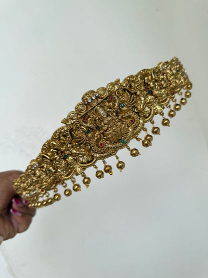 Hb512 adults Lakshmi Devi hipbelt